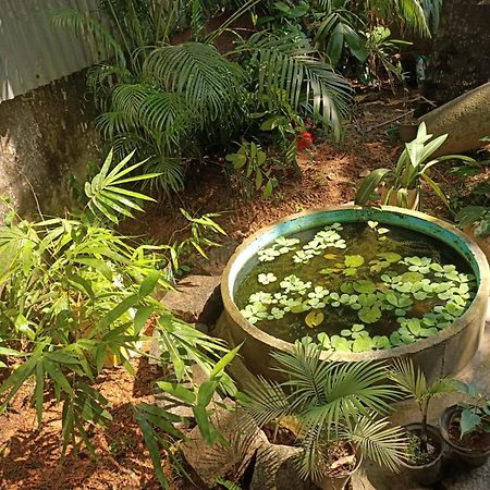 Adams Wood House Ayurveda Homestay Коччи Экстерьер фото