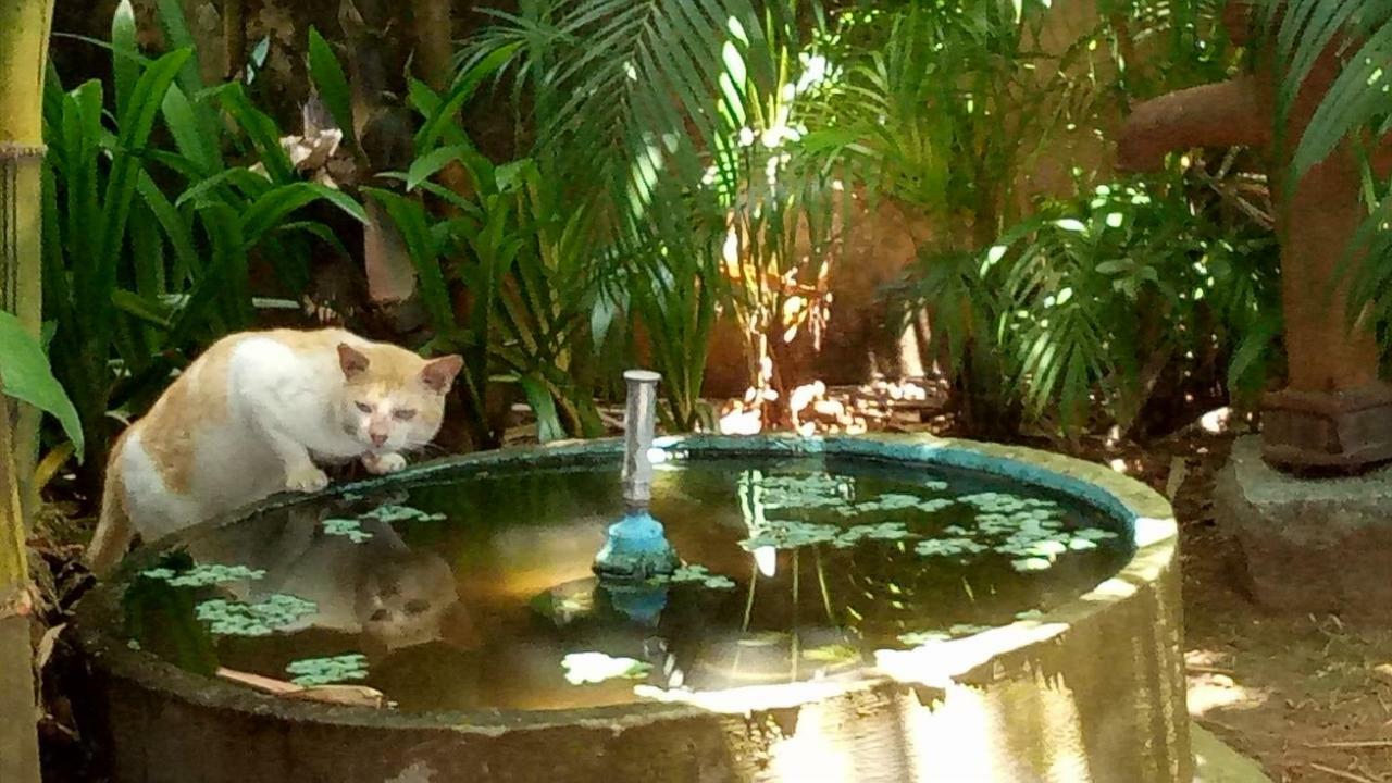 Adams Wood House Ayurveda Homestay Коччи Экстерьер фото